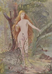 The Birth of Woman